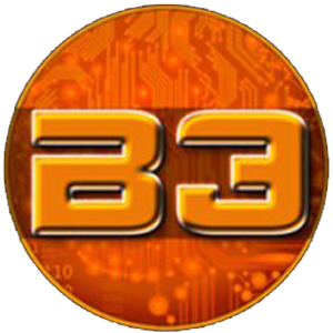 B3 Coin (B3)