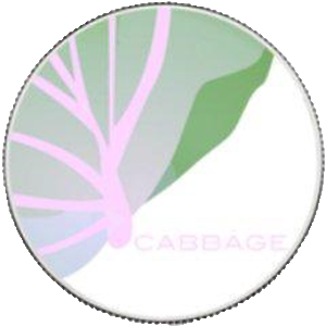 CabbageUnit (CAB)